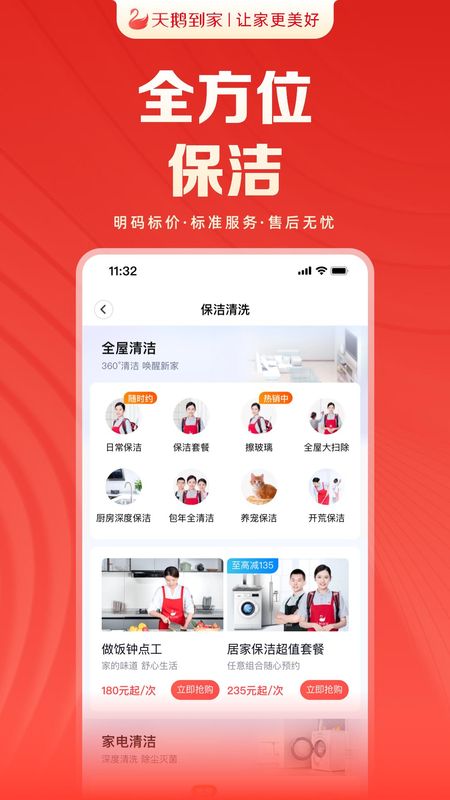天鹅到家_图片
