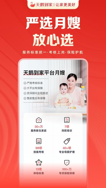 天鹅到家_图片