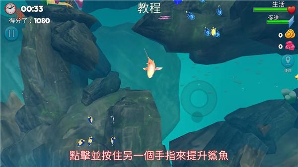 双头鲨游戏_图片