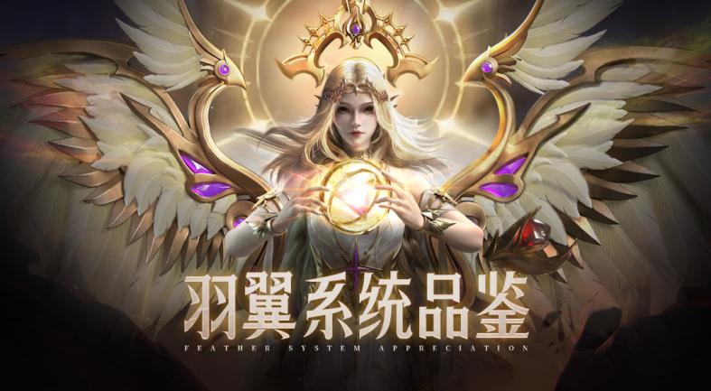 文档图片